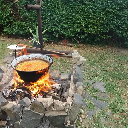 Majestic Apartmanhaz Badacsony 아파트 바다초니토마이