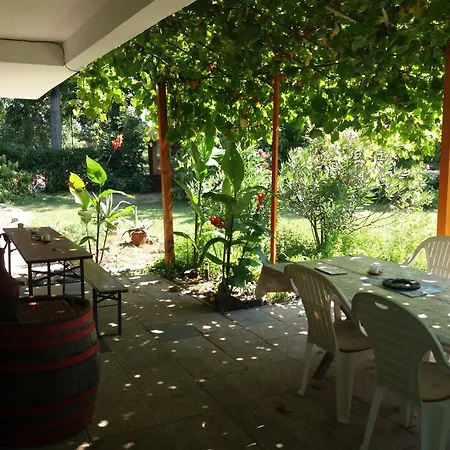 Majestic Apartmanhaz Badacsony Διαμέρισμα *